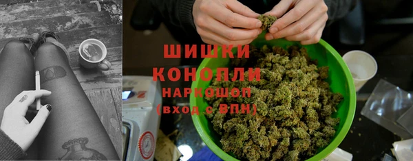 соль ск Алексин